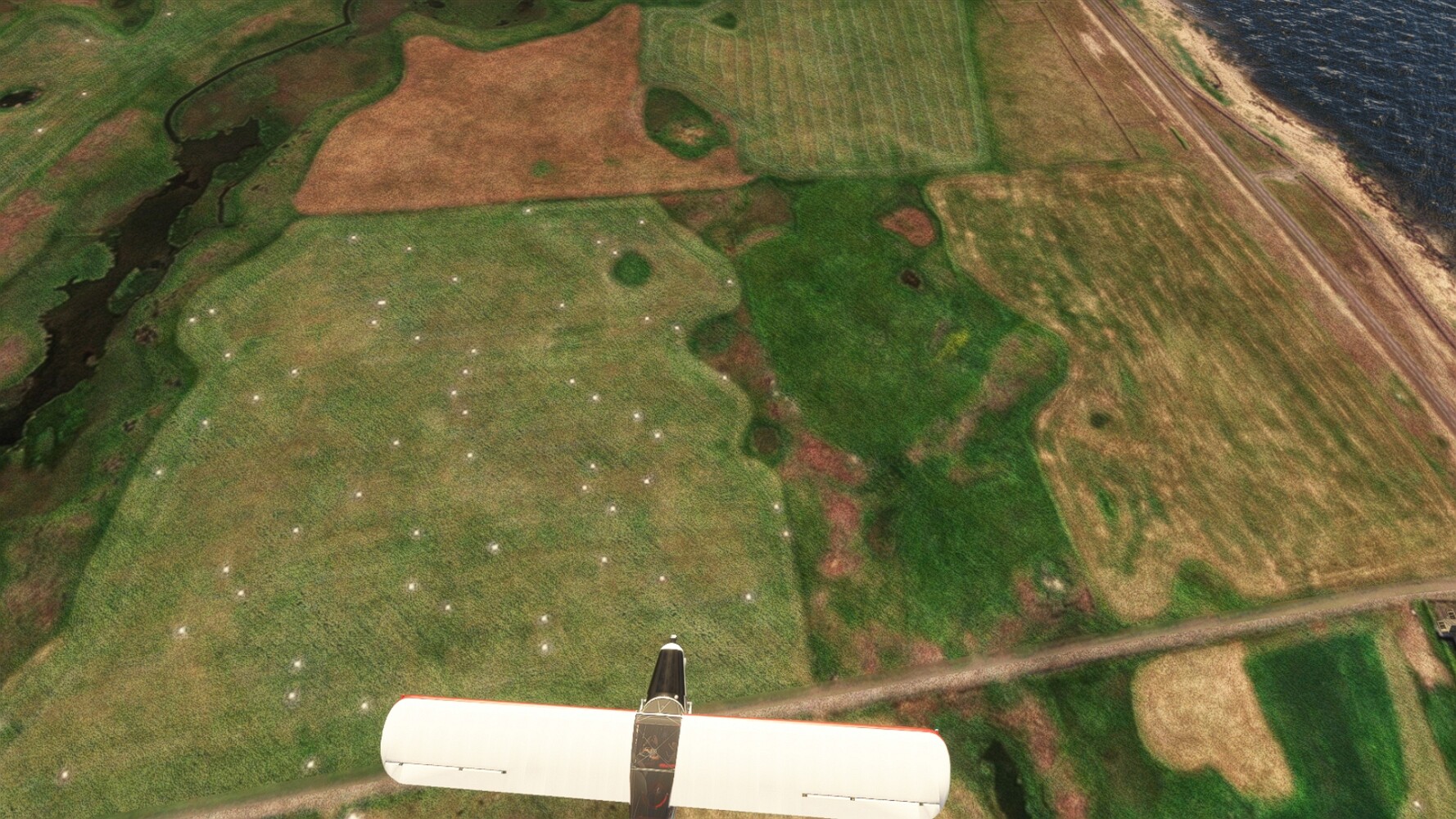 FS25_03006.jpg